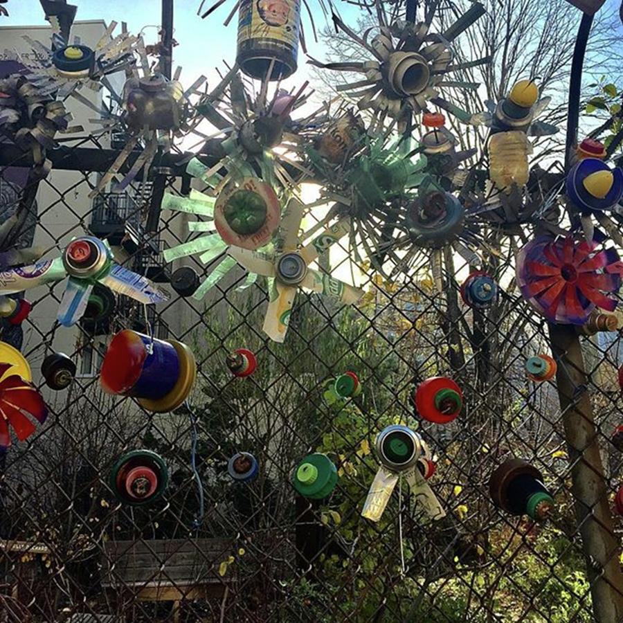 Fence Decorations Surrounding A Photograph by Gina Callaghan Fence Decorations Surrounding A Photograph by Gina Callaghan