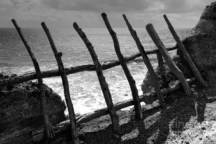 Black And White Photograph - Fence by Gaspar Avila