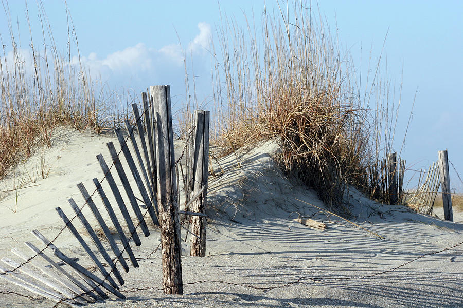 Fence in Dunes Photograph by Darryl Brooks