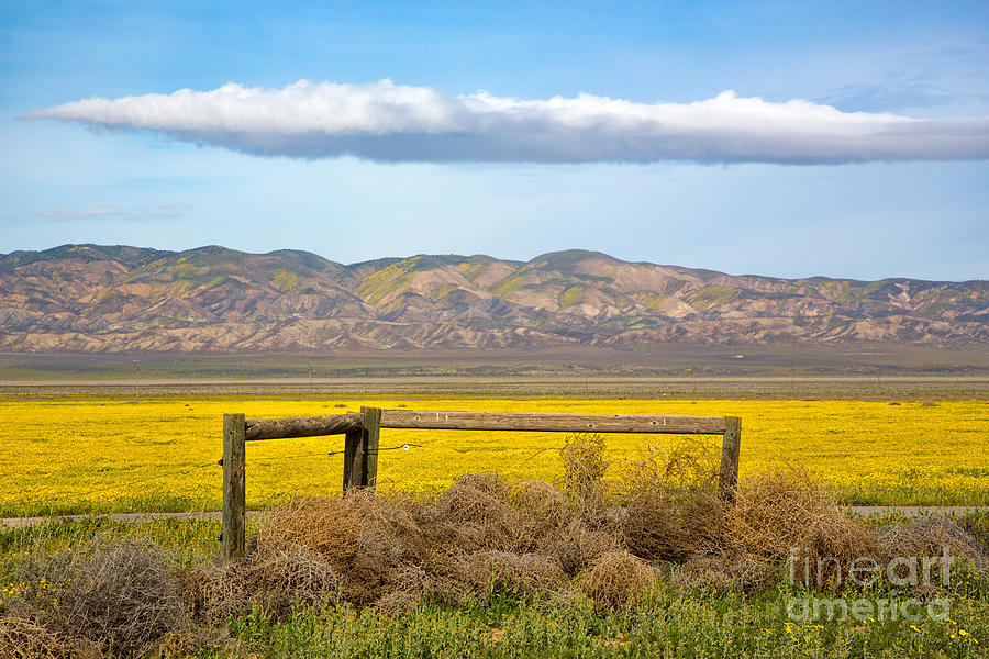 Fence In The Carrizo Plains Photograph by Mimi Ditchie