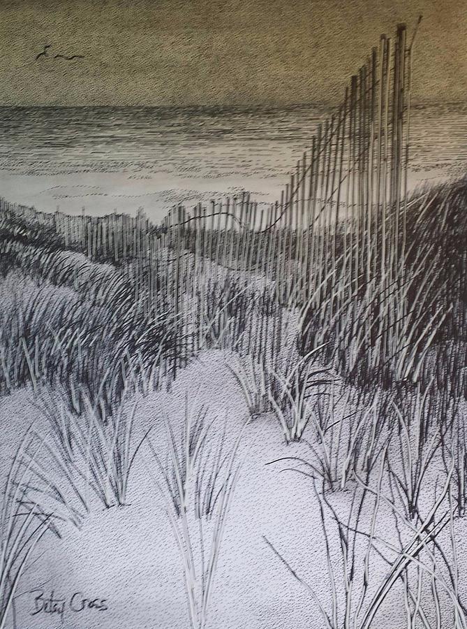 Fence in the Dunes Drawing by Betsy Carlson Cross