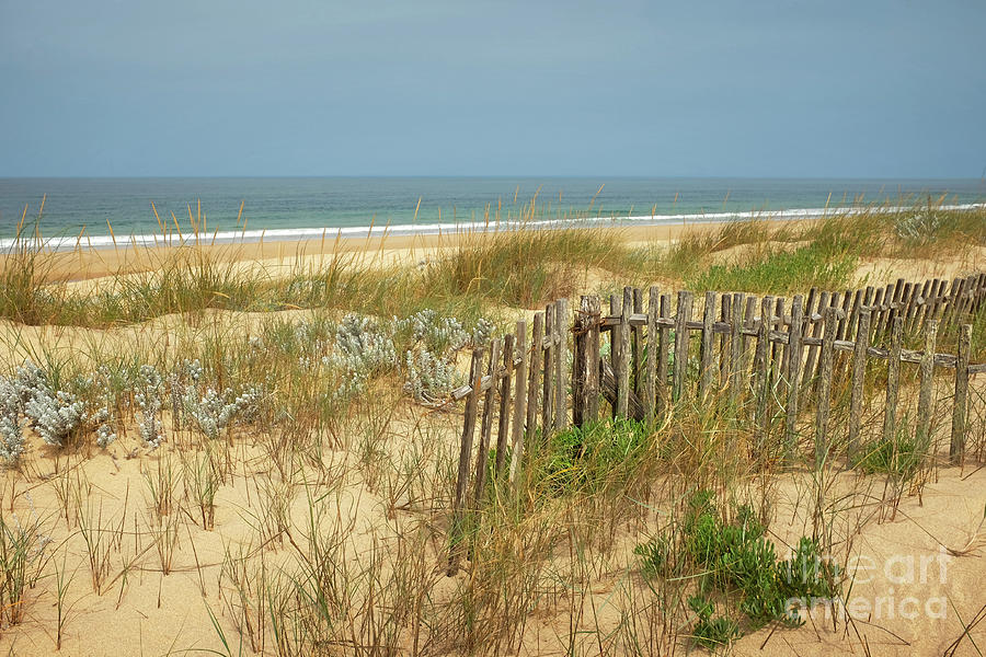 Fence in the Dunes Photograph by Carlos Caetano