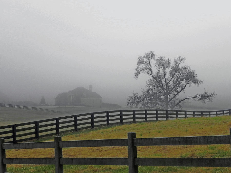 Fence In The Fog Photograph by Kathleen Moroney