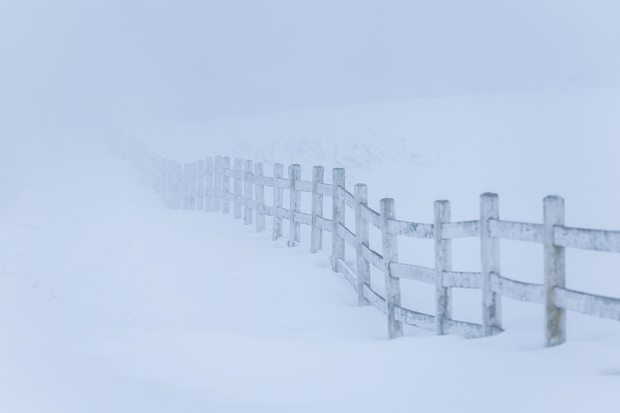 Fence in the Fog Photograph by Tim Kirchoff