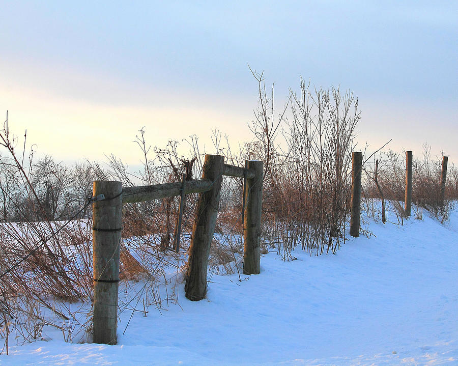 Fence in the Snow Photograph by Angela Murdock