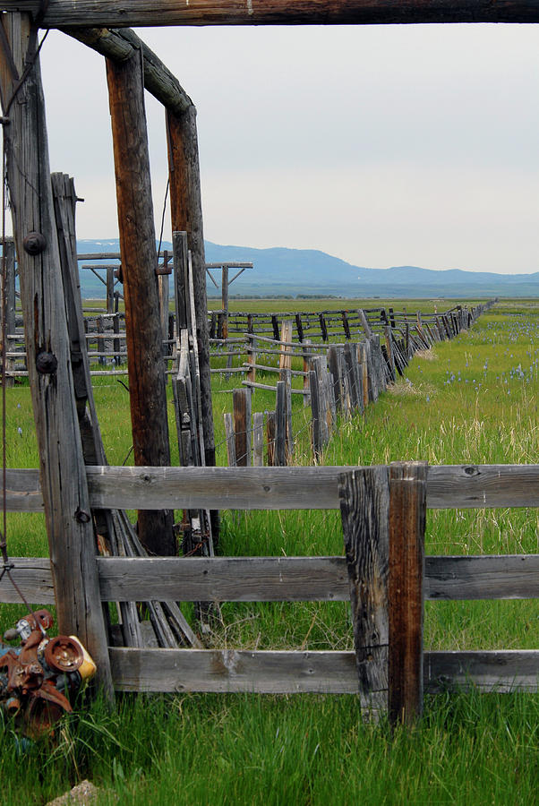 Fence Line at Camas Prairie Photograph by Michelle Halsey
