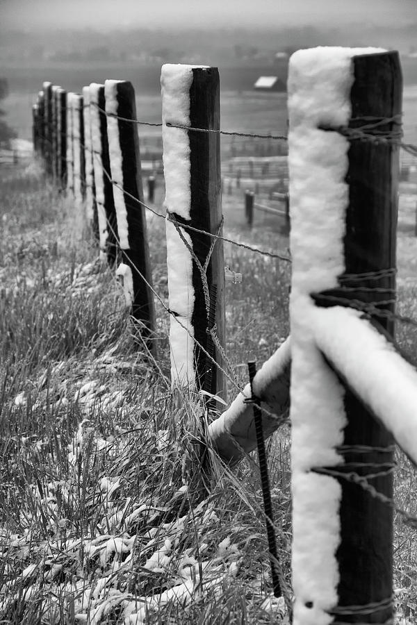 Fence Line Photograph by Debby Richards