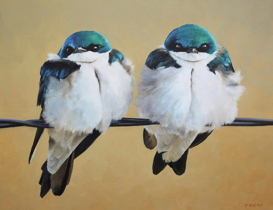 Fence Line Swallows by Peter Eades Fence Line Swallows by Peter Eades