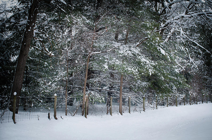 Snow Day 3, Fieldwork, Hunter Hill, Hagerstown, Maryla Photograph by James Oppenheim