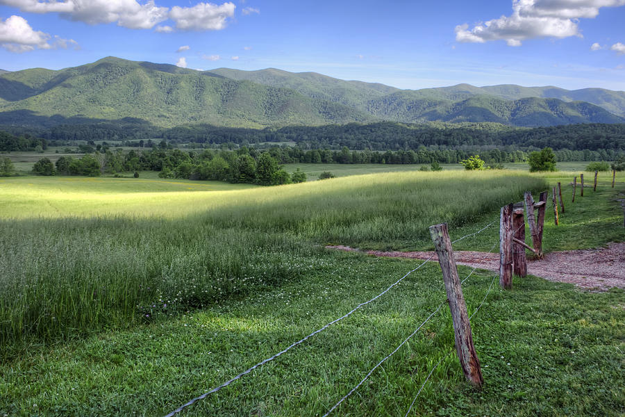 Fence - Meadow - Mountains Photograph by Nikolyn McDonald