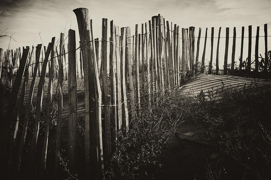 Fence on the Mediterranean Photograph by Hugh Smith