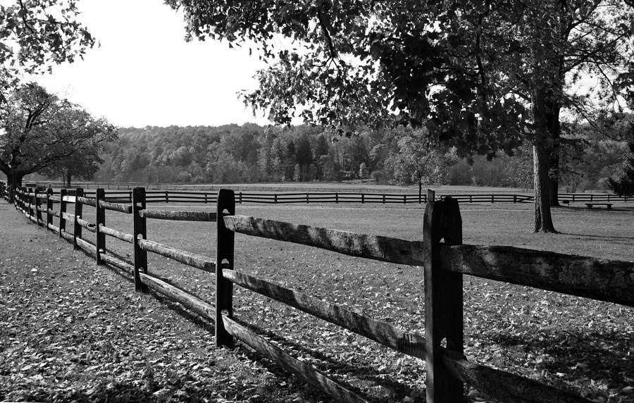 Fence Perspective Photograph by Kristin Elmquist