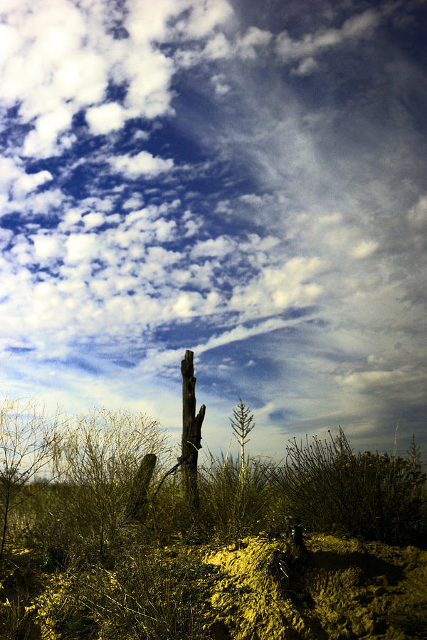 Fence post and New Mexico Sky Photograph by Jeff Swan