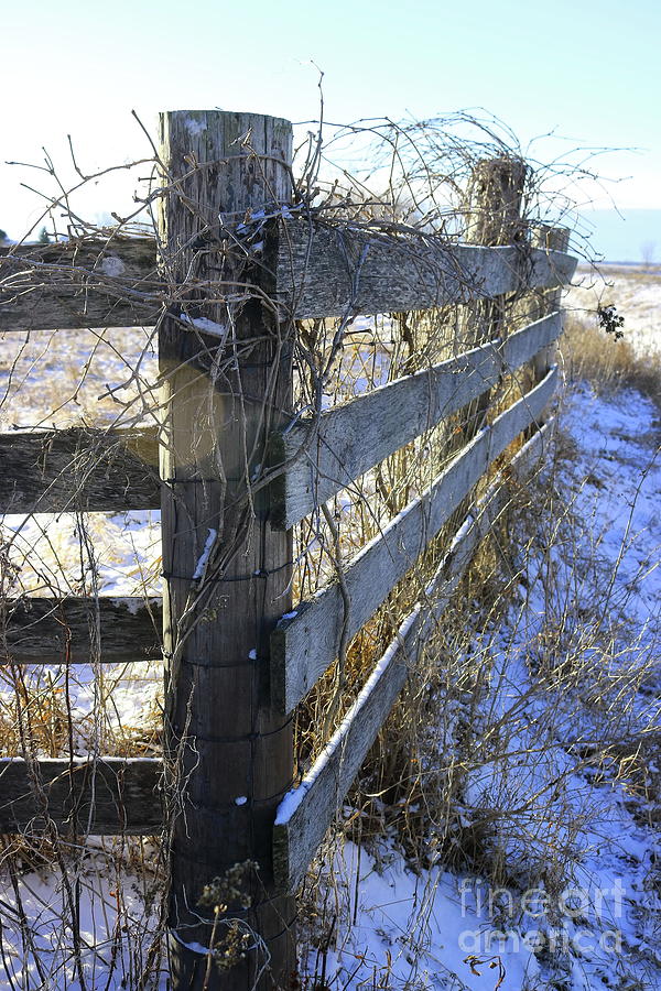 Fence Post Photograph by Erick Schmidt