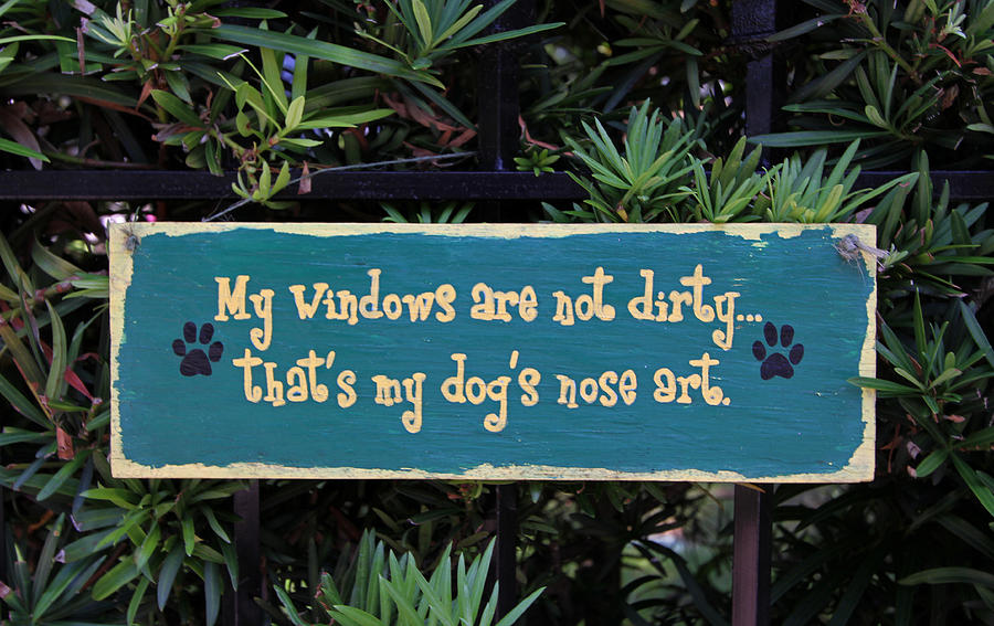Fence Post with Puppy Quote Photograph by Juergen Roth