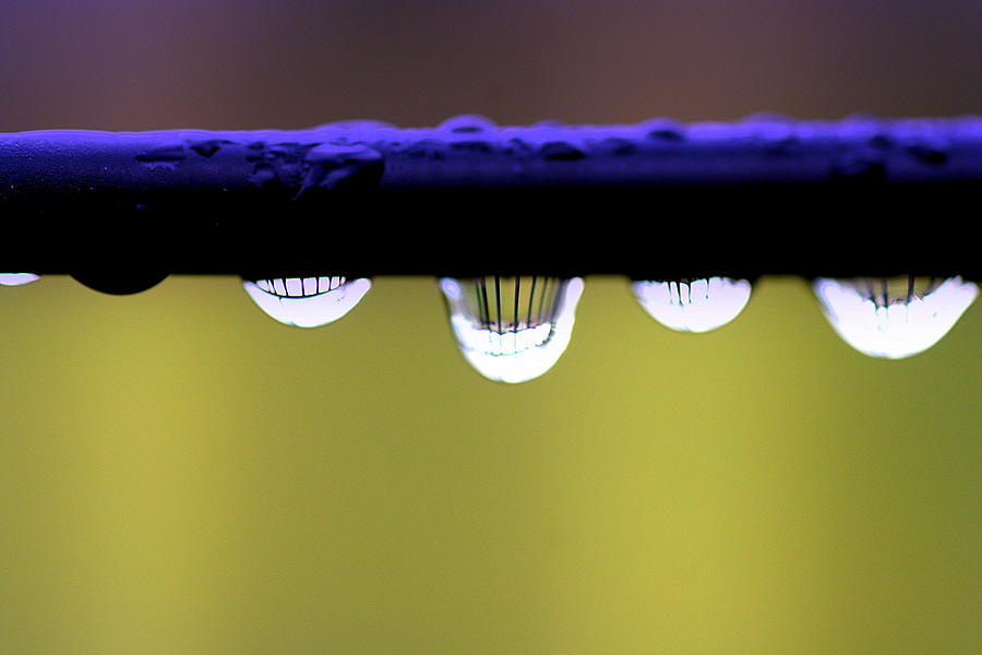 Abstract Photograph - Fence Reflected by Kerry Reed Abstract Photograph - Fence Reflected by Kerry Reed