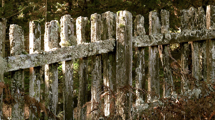 Fence Santa Cruz Mountains Landscape Art Digital Art by Larry Darnell