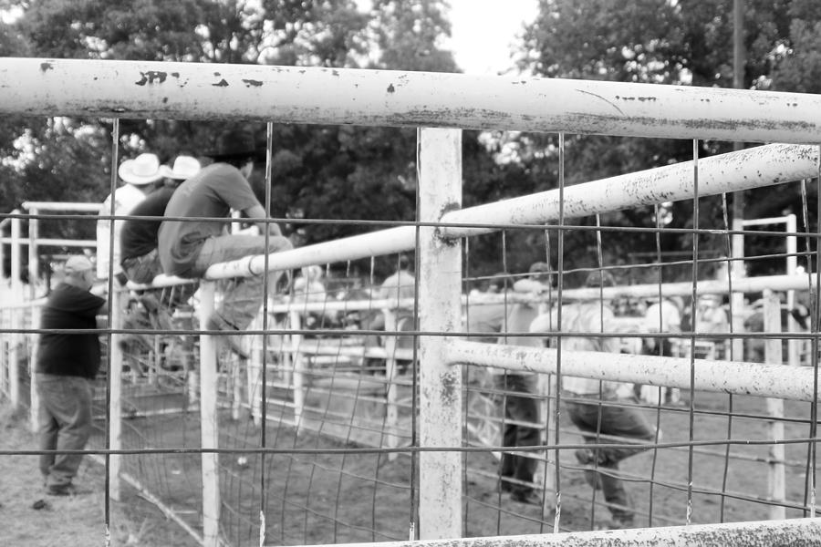 Fence Sitting at The Local Rodeo Photograph by Toni Hopper