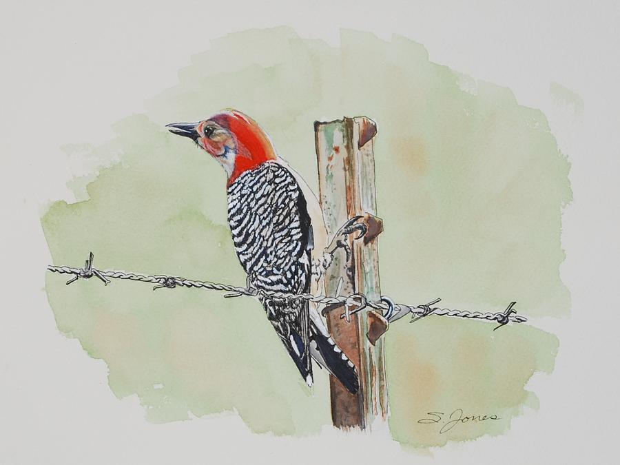 Woodpecker Mixed Media - Fence Sitting by Sonja Jones