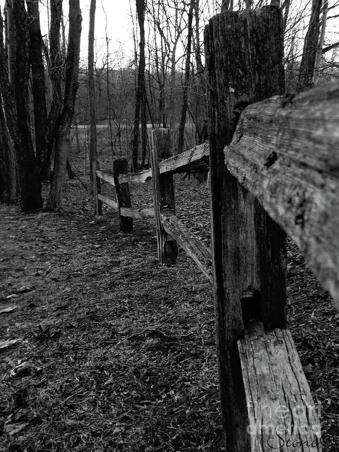 Fence To Nowhere Photograph by September Stone