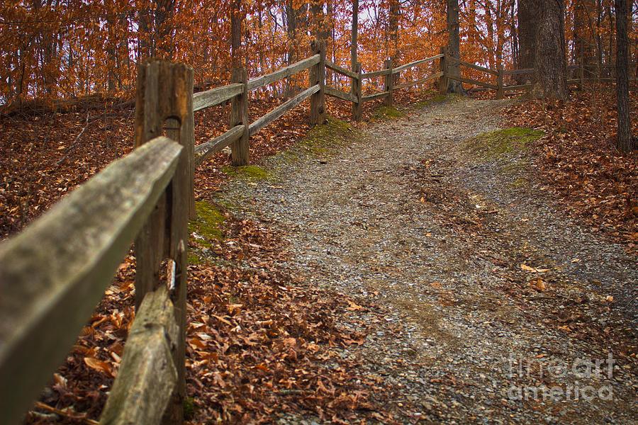 Fence Trail Photograph by Ty Shults