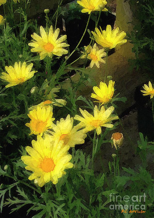 Fence with Golden Marguerites Painting by RC DeWinter