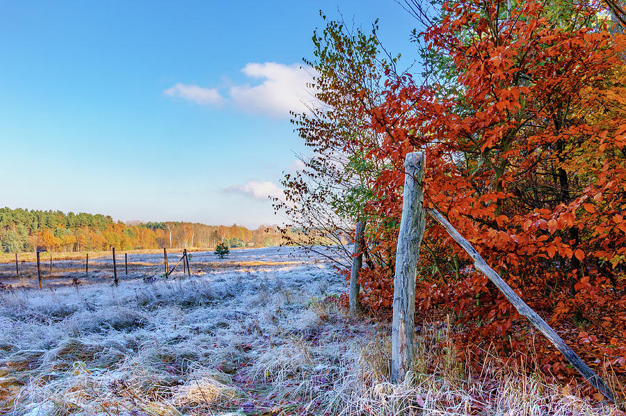 Fenced autumn Photograph by Dmytro Korol