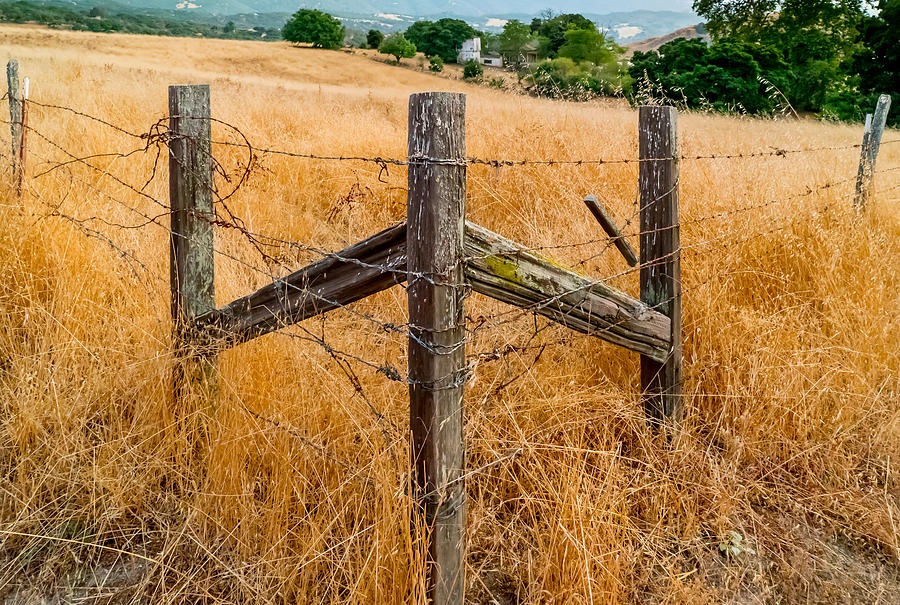 Fenced In Photograph by Derek Dean
