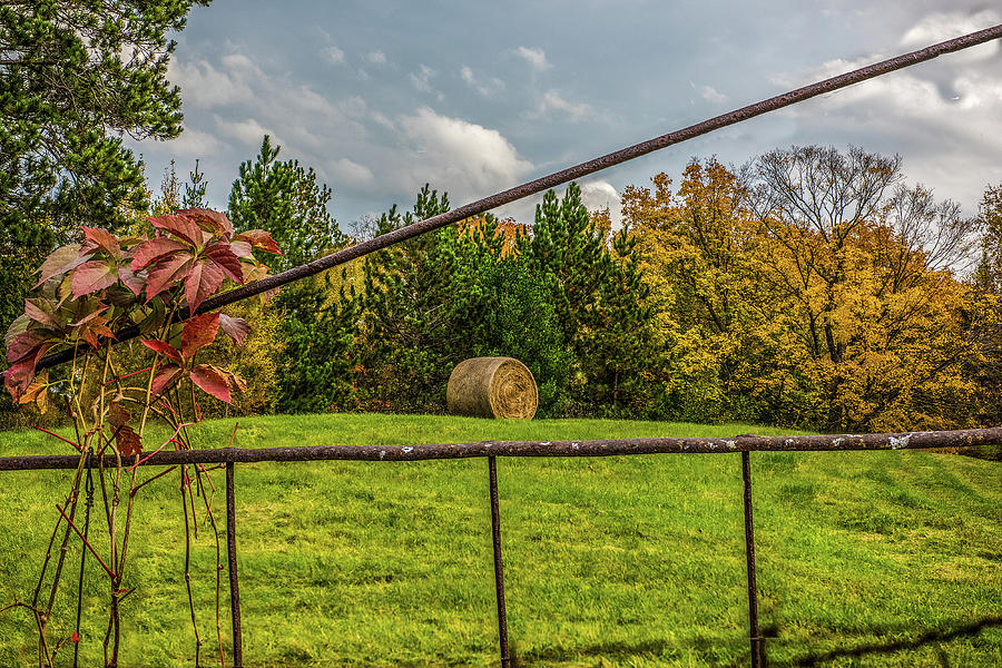 Fenced In Fall Photograph by Paul Freidlund