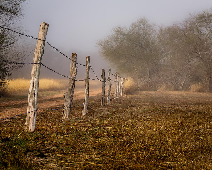 Fenced In Photograph by Gary Migues