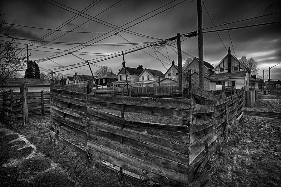 Fenced In Photograph by Jakub Sisak