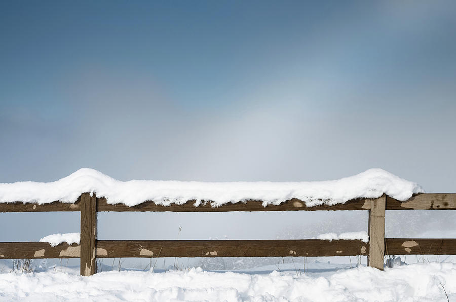 Fenced in Snow Photograph by Greg Nyquist