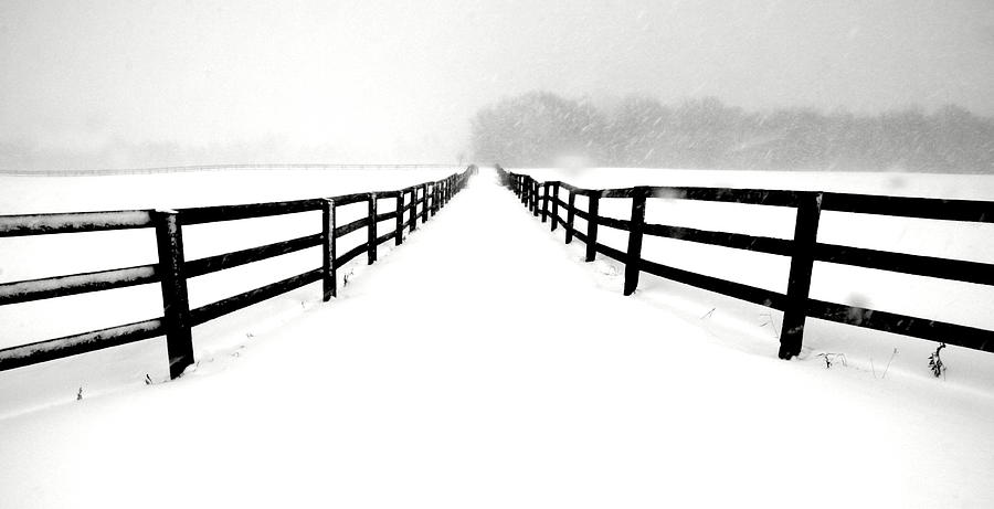 Fenced white out Photograph by Russell Styles