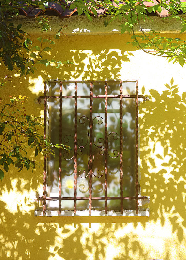 Fenced Yellow Window Photograph by Viktor Savchenko