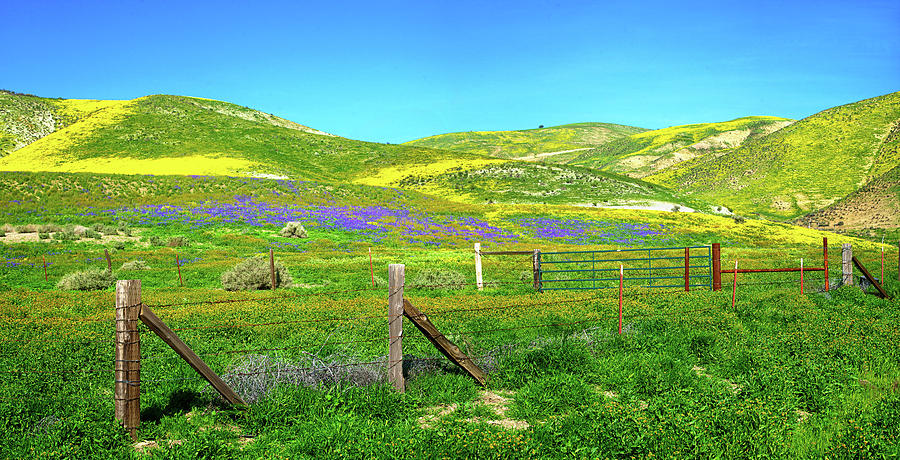 Fenceline Fantasy Panorama on the Carrizo Photograph by Lynn Bauer