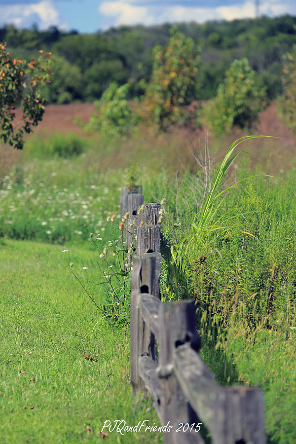 Fenceline Photograph by PJQandFriends Photography