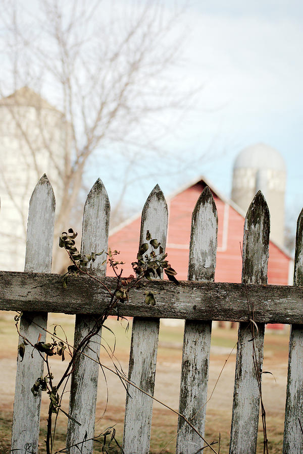 Fenceline Photograph by Troy Stapek
