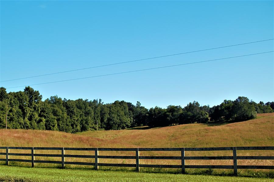 6003 - Fences and Farmland Photograph by Sheryl L Sutter
