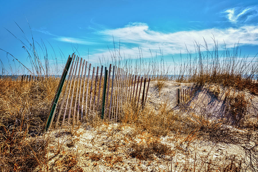 Fences in the Dunes Photograph by Debra and Dave Vanderlaan