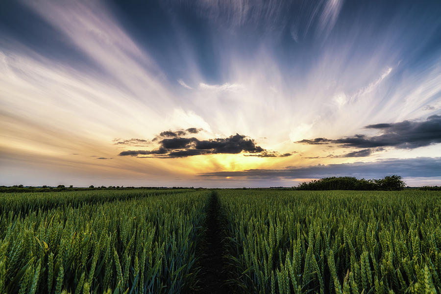 Fenland Sky Photograph by James Billings