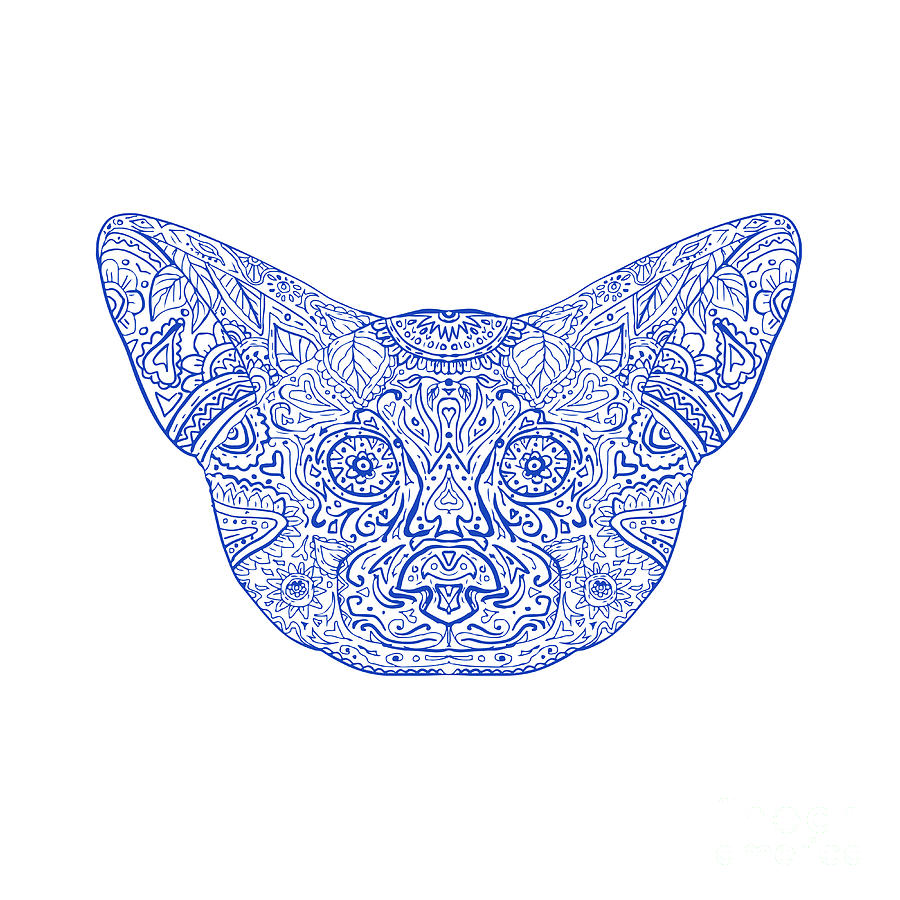 Fox Digital Art - Fennec Fox Head Mandala by Aloysius Patrimonio