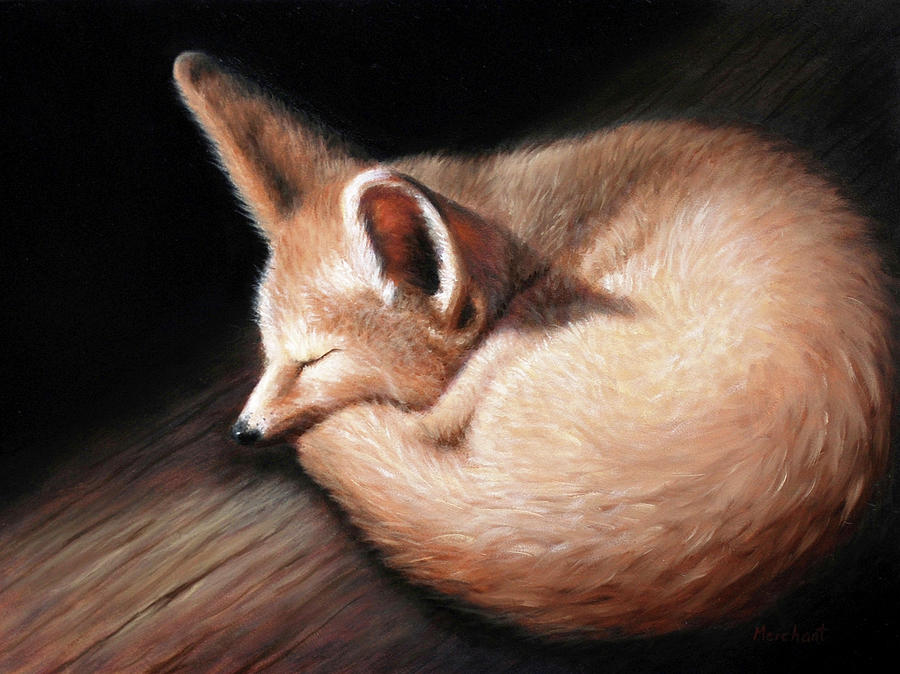 Fennec Fox Painting by Linda Merchant