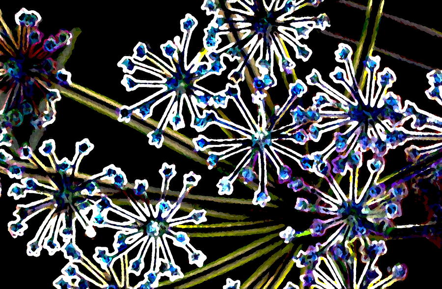 Fennel Inflorescence in Neon 2 by AJP Fennel Inflorescence in Neon 2 by AJP