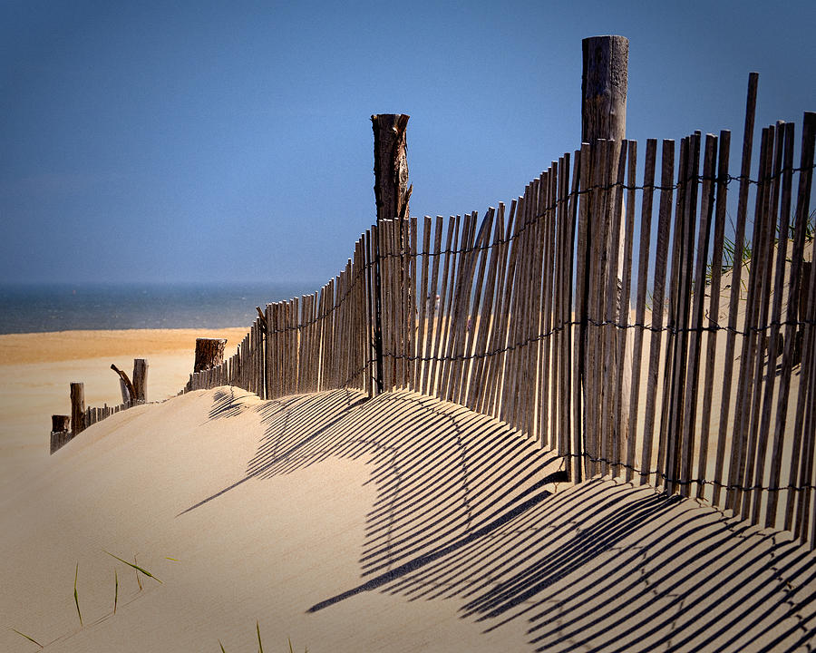 Fenwick Dune Fence and Shadows Photograph by Bill Swartwout