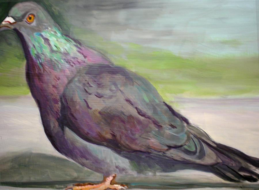 Feral Rock Pigeon Painting by Edith Hunsberger