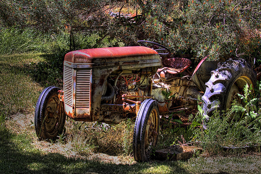 Ferguson Tractor Photograph by David Patterson