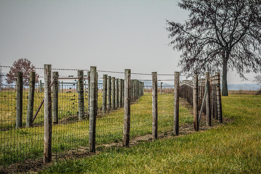 Fall Photograph - Fermilab Fence by Joni Eskridge