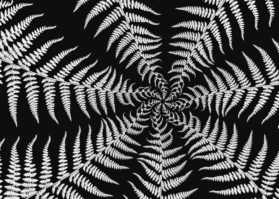Abstract Photograph - Fern Abstract by Edward Myers