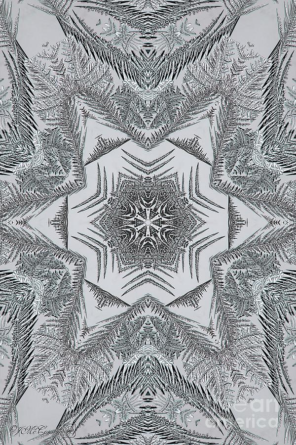 Fern Frost Mandala Digital Art by J McCombie
