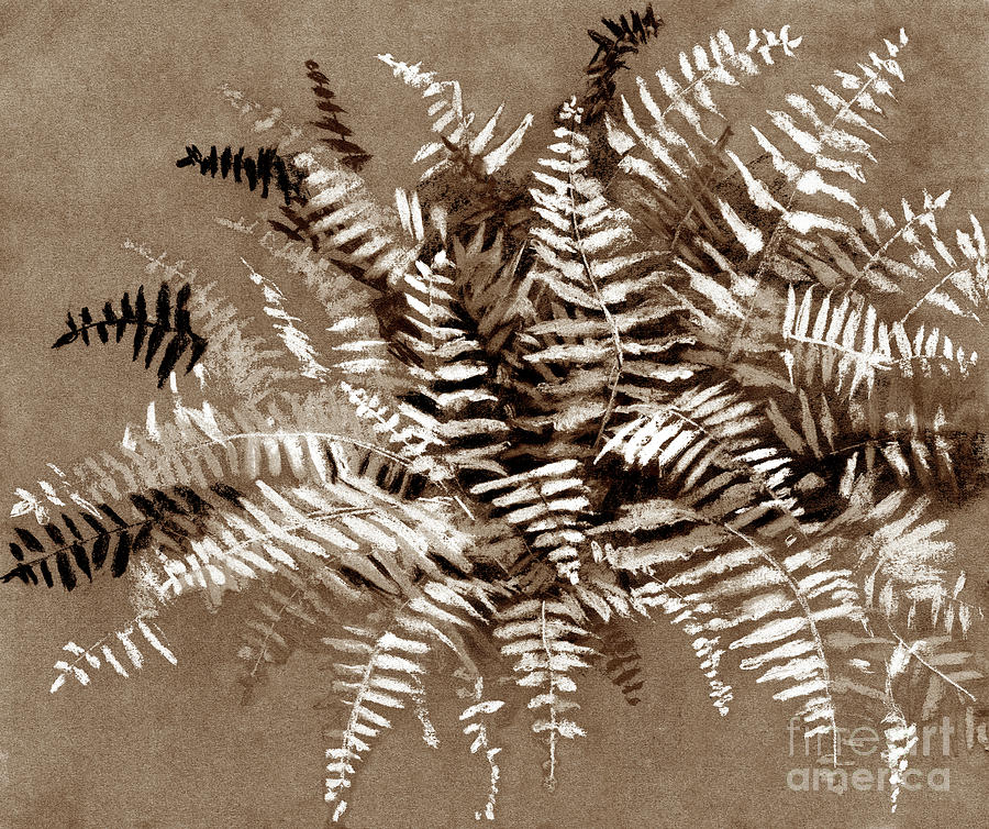 Fern in Sepia Drawing by Julia Khoroshikh